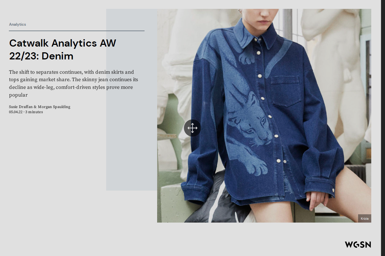 WGSN 22/23/24 All Seasons: Forecasts/Trends/Washes/Fits and more MENS/KIDS/WOMENS