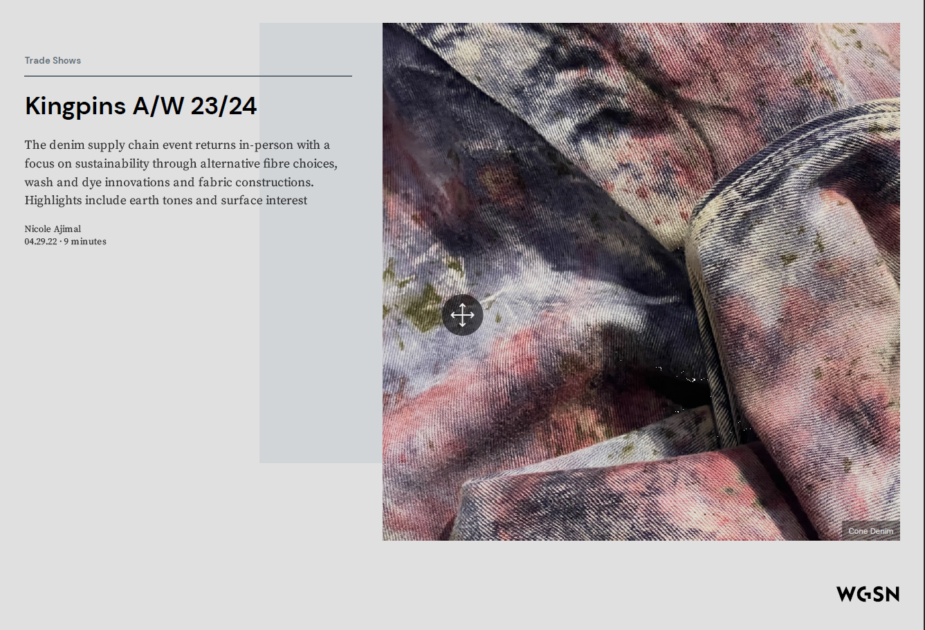 WGSN 22/23/24 All Seasons: Forecasts/Trends/Washes/Fits and more MENS/KIDS/WOMENS